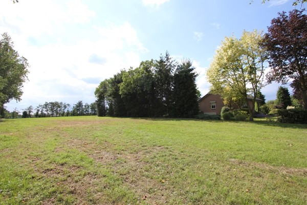 IMG_2878 (Medium).JPG 47