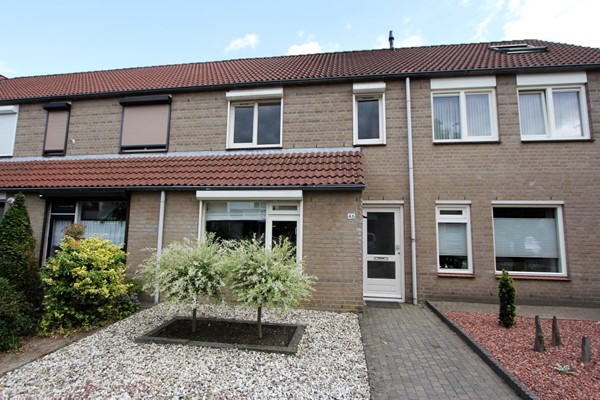 IMG_2723 (2) (Medium).JPG 1