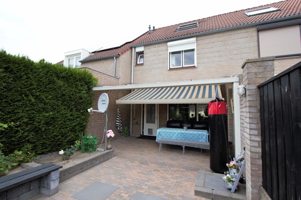 IMG_2745 (2) (Medium).jpg 2