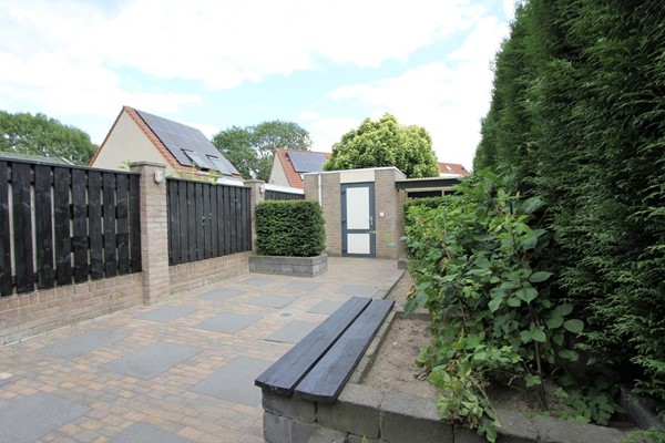 IMG_2740 (2) (Medium).JPG 3