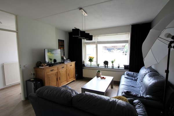 IMG_2727 (2) (Medium).JPG 5