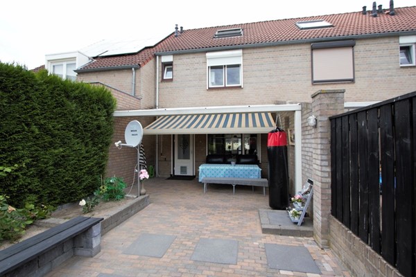 IMG_2746 (2) (Medium).jpg 4