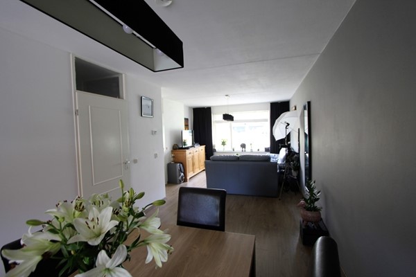 IMG_2733 (2) (Medium).JPG 6