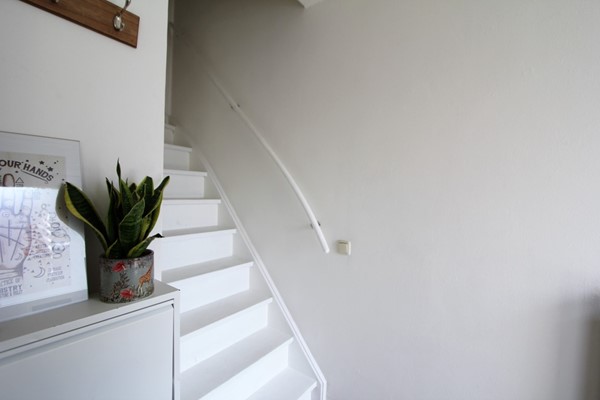 IMG_2729 (2) (Medium).JPG 8