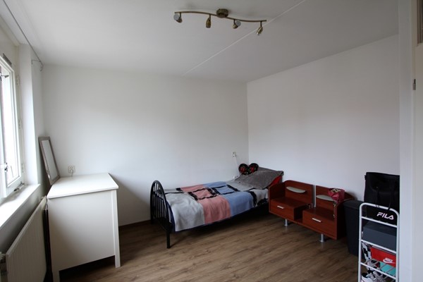 IMG_2750 (2) (Medium).JPG 9