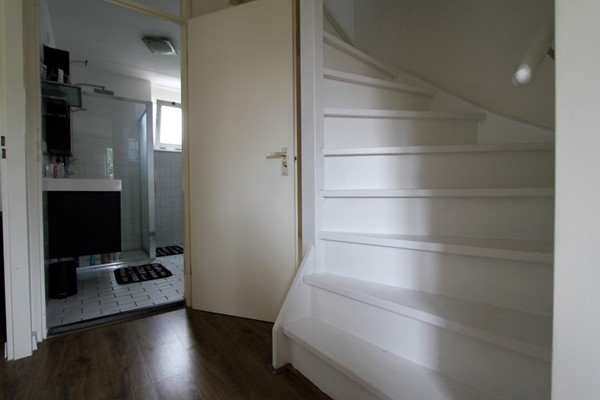 IMG_2752 (2) (Medium).JPG 12