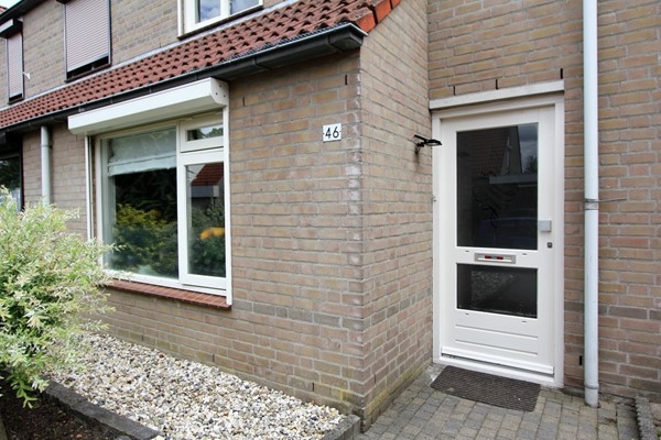 IMG_2726 (2) (Medium).JPG 15