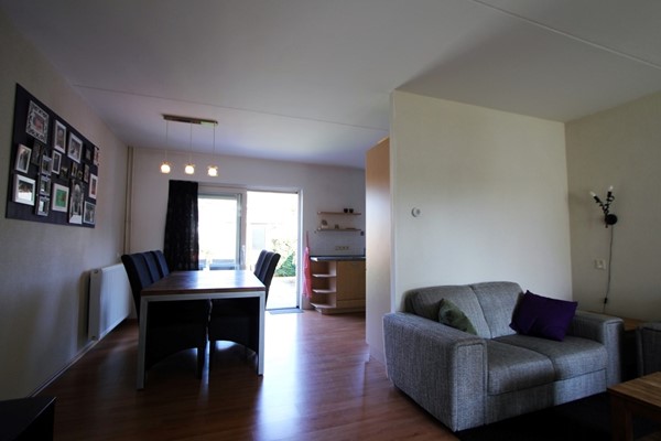 IMG_4135 (2) (Medium).JPG 6