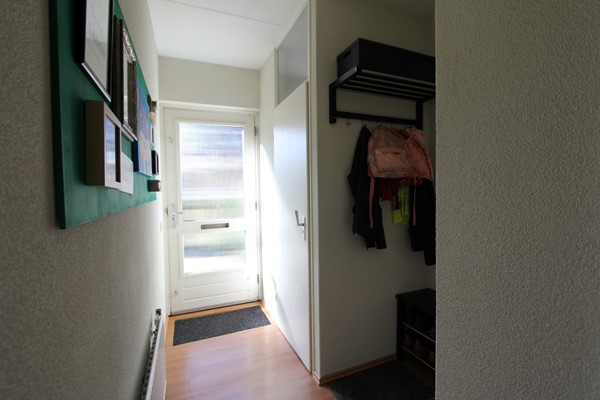 IMG_4120 (2) (Medium).JPG 9