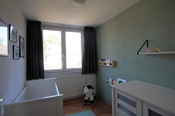 IMG_4152 (2) (Medium).jpg 10