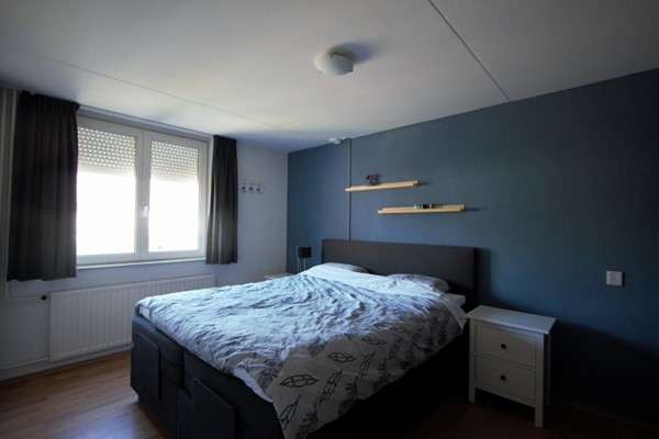 IMG_4154 (2) (Medium).jpg 11