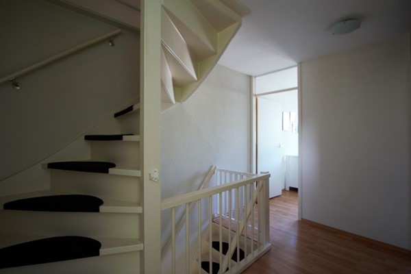 IMG_4155 (2) (Medium).jpg 14