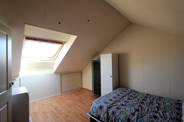 IMG_4161 (2) (Medium).JPG 15