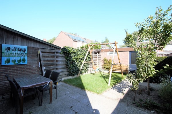 IMG_4147 (2) (Medium).jpg 16