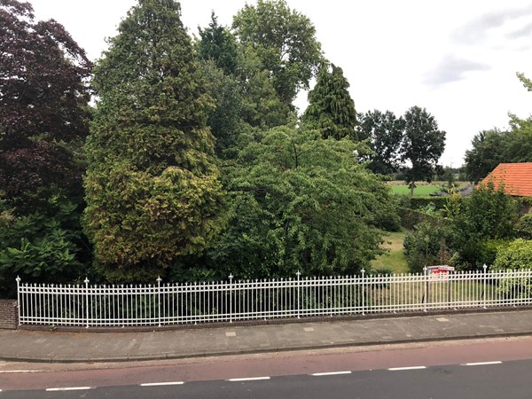 PHOTO-2020-09-09-18-56-54 (003).jpg 2