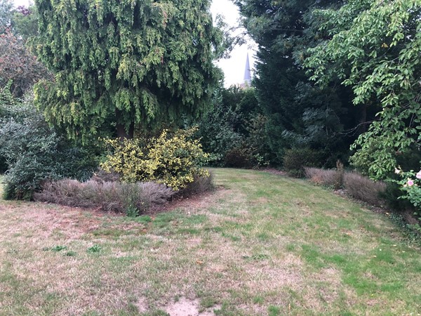 PHOTO-2020-09-09-18-56-55 (003).jpg 4