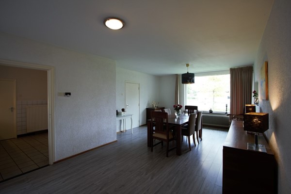 IMG_4351 (2) (Medium).jpg 5