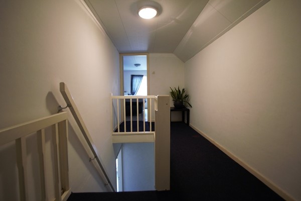 IMG_4370 (3) (Medium).jpg 14