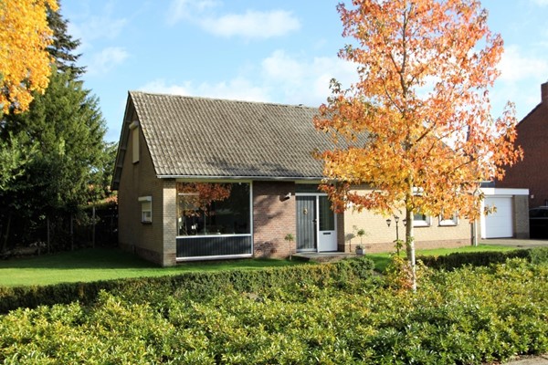 IMG_4459 (2) (Medium).JPG 2