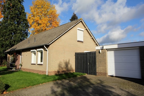 IMG_4463 (2) (Medium).JPG 16