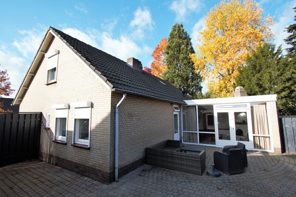 IMG_4471 (2) (Medium).jpg 19