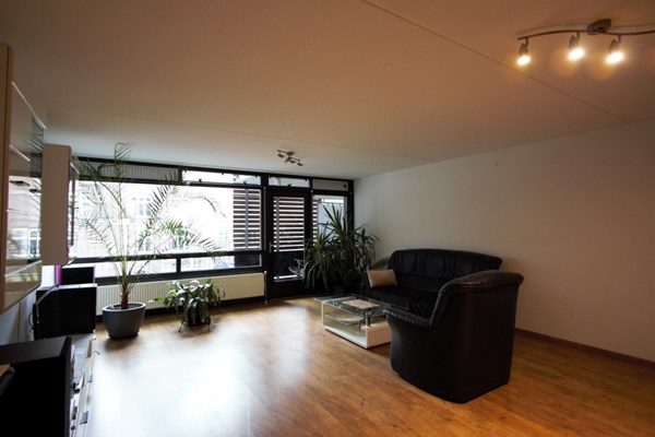 IMG_4527 (2) (Medium).jpg 3