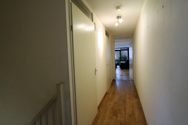 IMG_4549 (2) (Medium).JPG 8