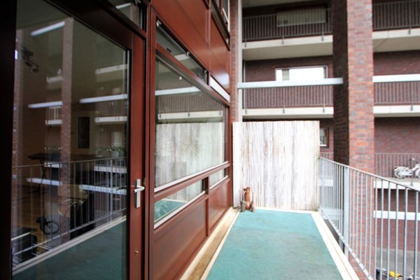 IMG_4538 (2) (Medium).JPG 7