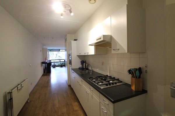 IMG_4531 (2) (Medium).JPG 6