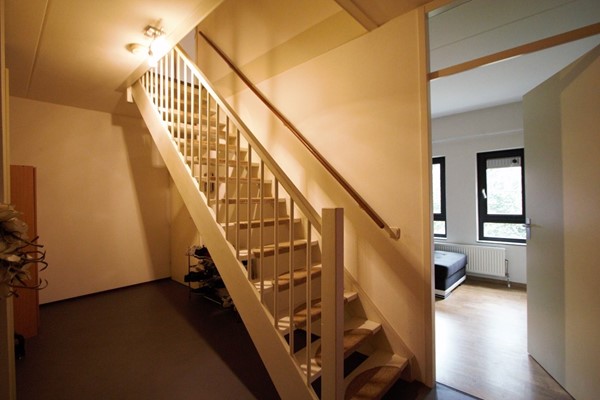 IMG_4556 (2) (Medium).jpg 11