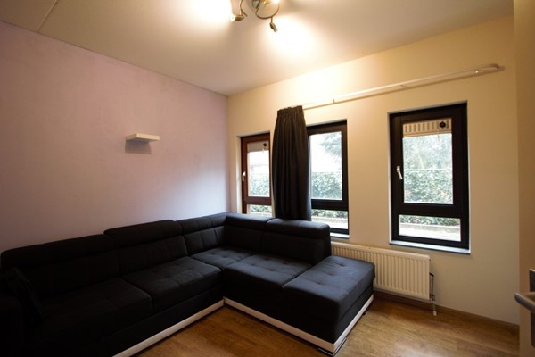 IMG_4552 (2) (Medium).jpg 12