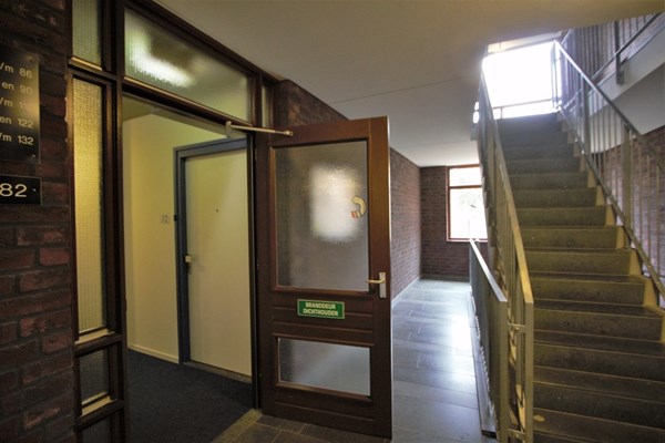 IMG_4557 (2) (Medium).jpg 14