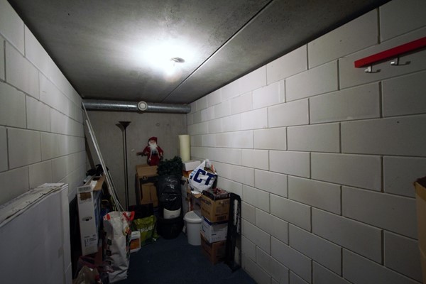 IMG_4558 (2) (Medium).jpg 15