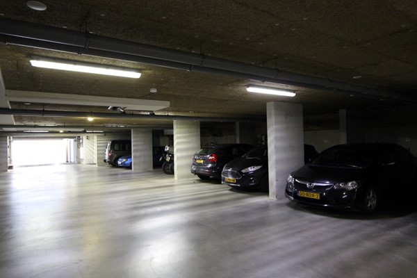 IMG_4559 (Medium).JPG 16