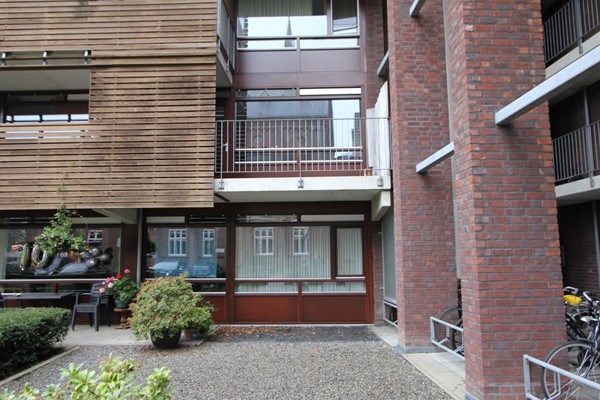 IMG_4560 (Medium).JPG 17