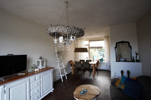 IMG_4631 (2) (Medium).jpg 6