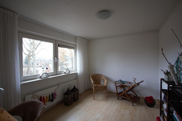 IMG_4648 (2) (Medium).jpg 11