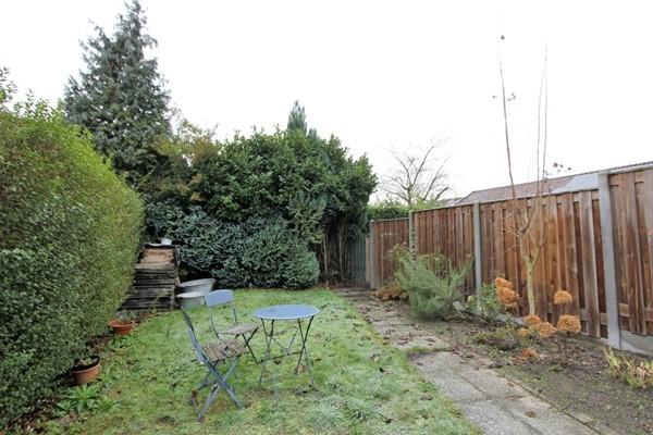 IMG_4658 (2) (Medium).JPG 4