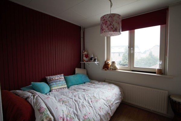 IMG_4651 (2) (Medium).jpg 13