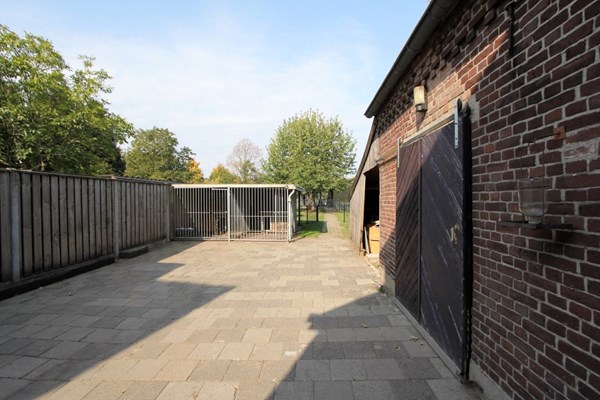 IMG_4178 (2) (Medium).JPG 4