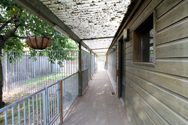 IMG_4185 (2) (Medium).JPG 23