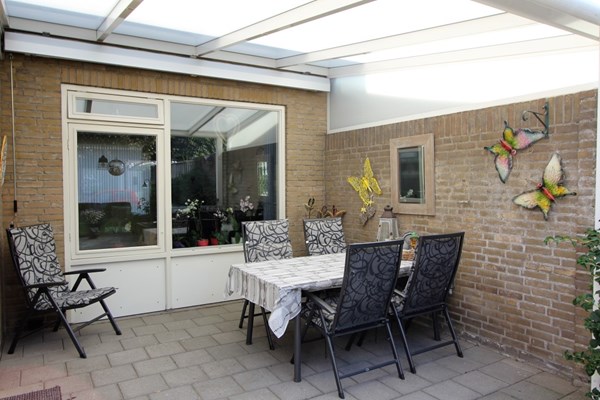 IMG_4254 (2) (Medium).JPG 3