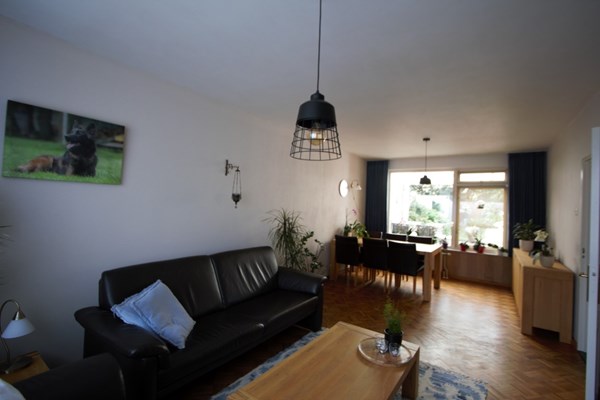 IMG_4273 (Medium).jpg 4