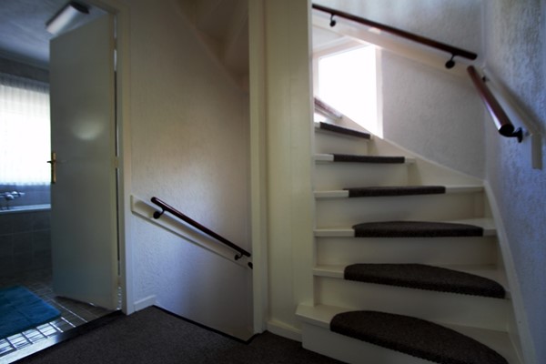 IMG_4291 (2) (Medium).jpg 14