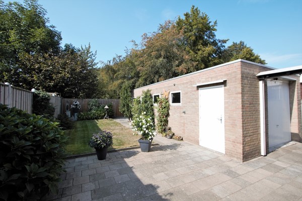 IMG_4246 (2) (Medium).jpg 17