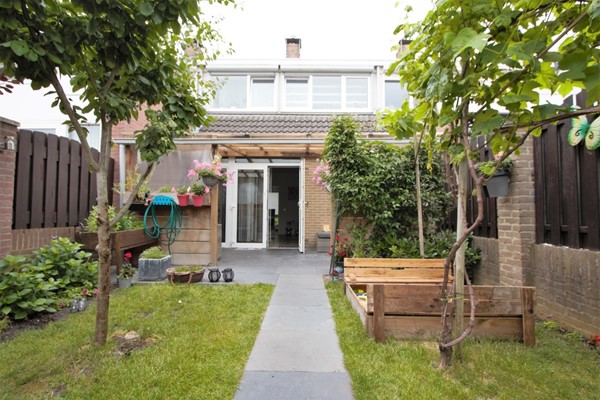 IMG_5705 (2) (Medium).jpg 2