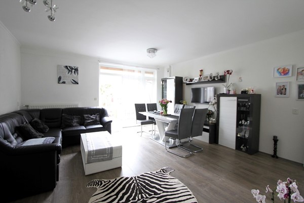 IMG_5699 (2) (Medium).JPG 4