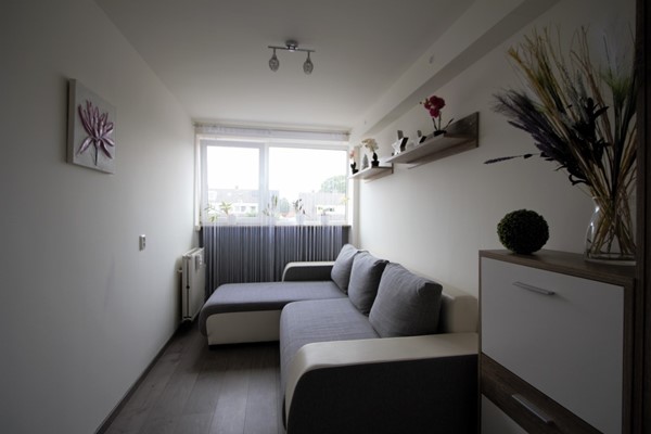 IMG_5676 (2) (Medium).jpg 9