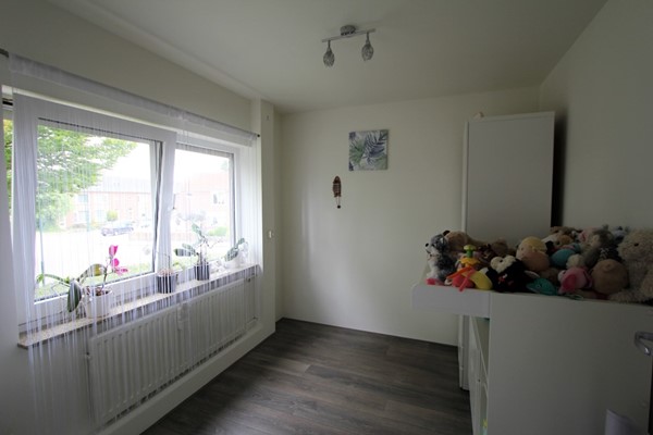 IMG_5677 (2) (Medium).JPG 10