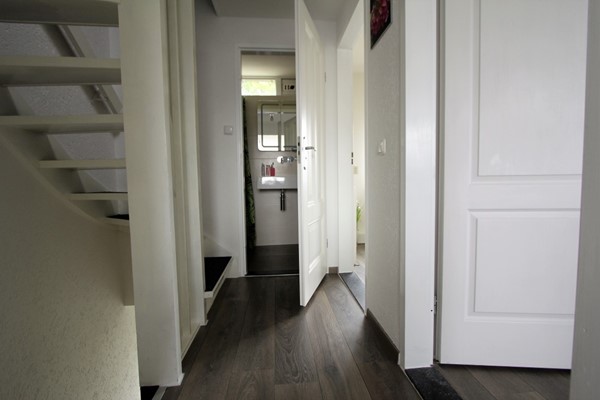 IMG_5686 (2) (Medium).JPG 12